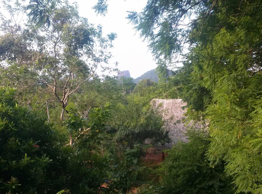 Kuwera Eco Lodge Sigiriya Exteriör bild