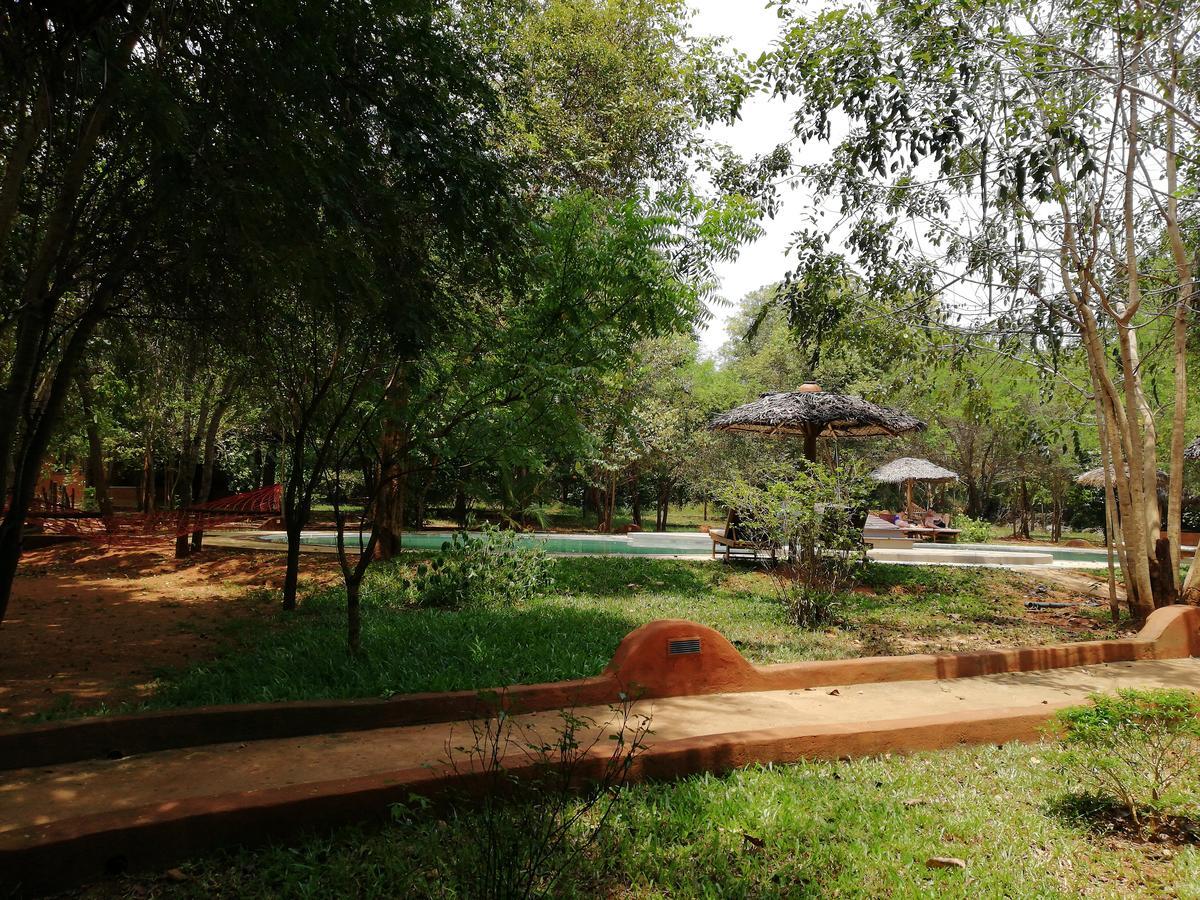 Kuwera Eco Lodge Sigiriya Exteriör bild