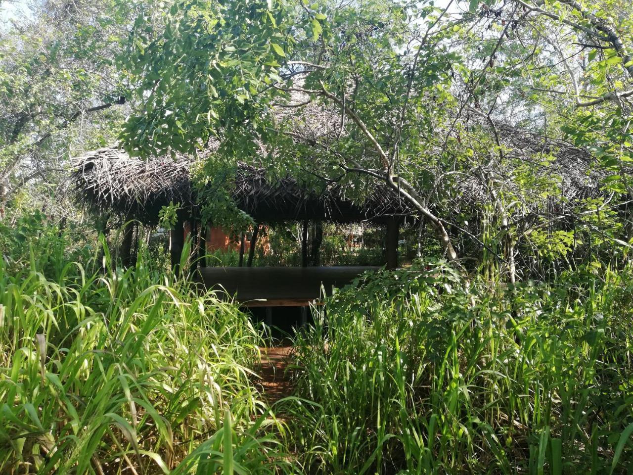 Kuwera Eco Lodge Sigiriya Exteriör bild