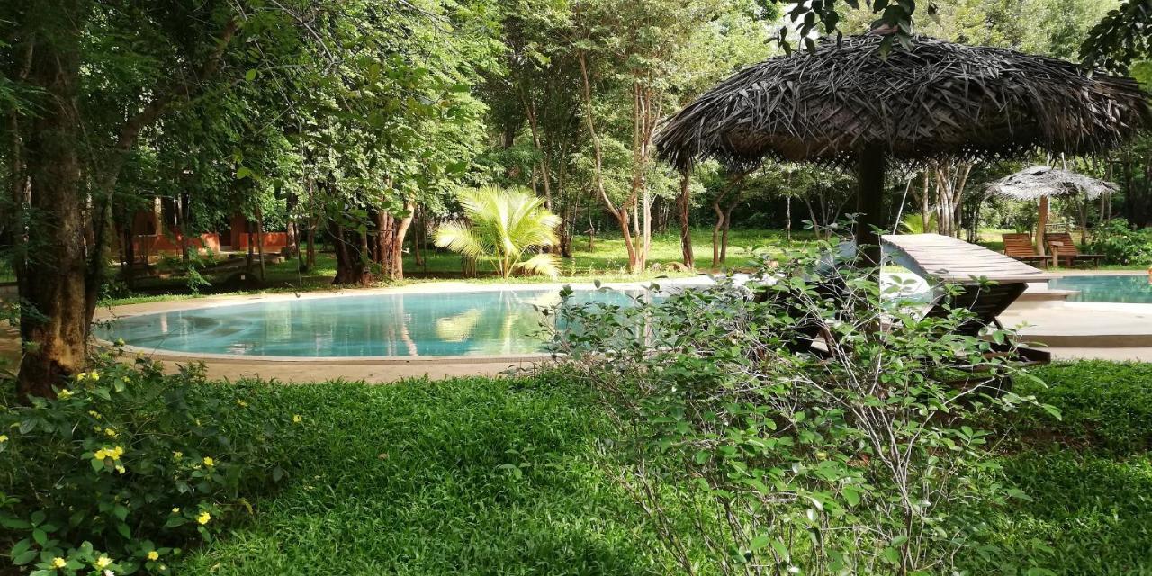 Kuwera Eco Lodge Sigiriya Exteriör bild